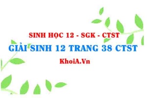 Giải Sinh 12 trang 38 Chân trời Sáng tạo